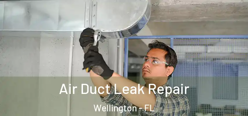  Air Duct Leak Repair Wellington - FL