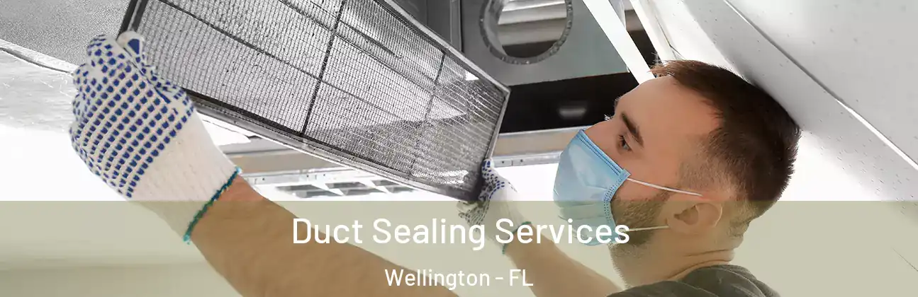  Duct Sealing Services Wellington - FL