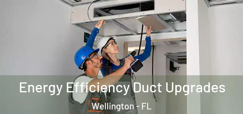  Energy Efficiency Duct Upgrades Wellington - FL