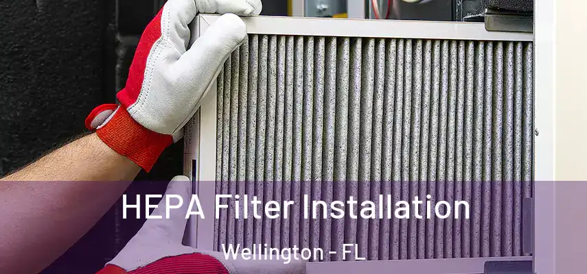  HEPA Filter Installation Wellington - FL