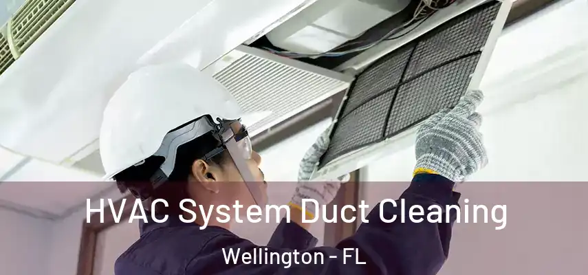  HVAC System Duct Cleaning Wellington - FL